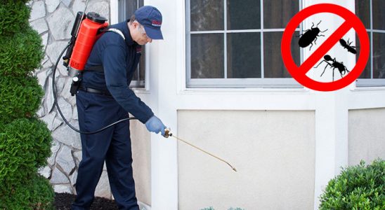 Çamoluk Dezenfeksiyon böcek ilaçlama ve haşere kontrolü — ilaclama-tr.com